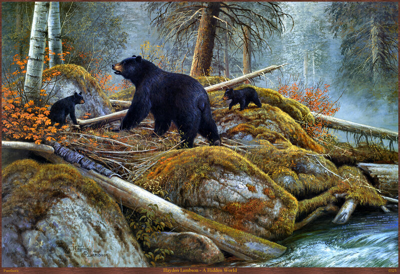 Black Bear Family — Brown