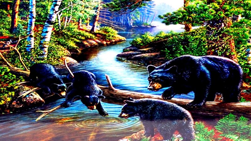 Black Bear Family by River