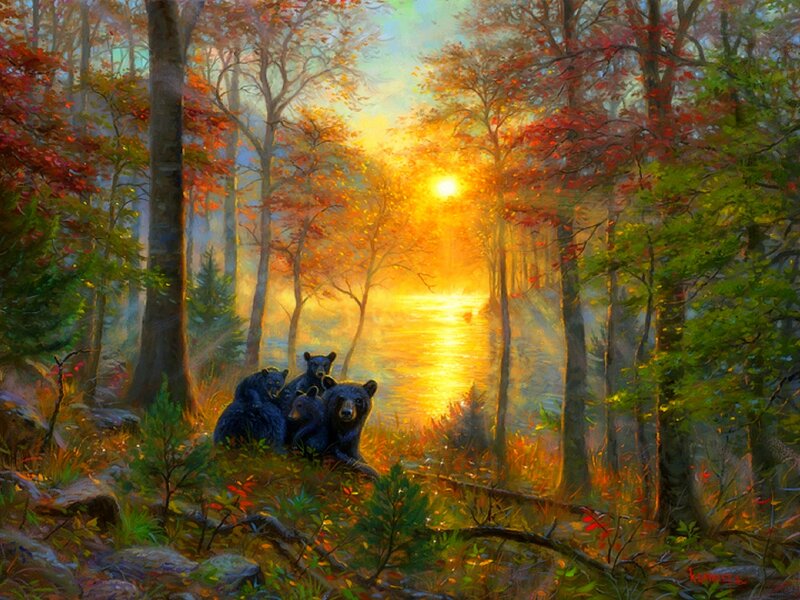 Black Bear Family — Gold