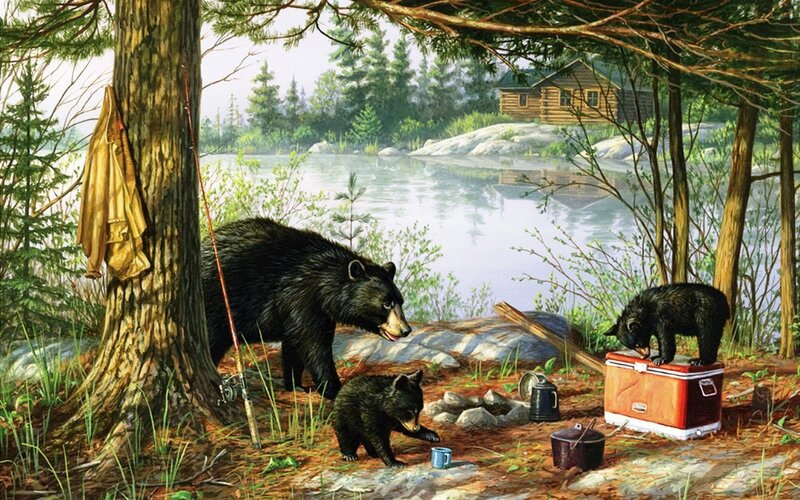 Black Bear Family — Green, Serene, Afternoon