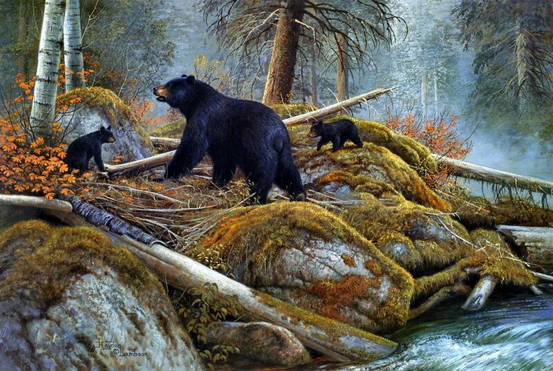 Black Bear Family — Green, Serene, Autumn