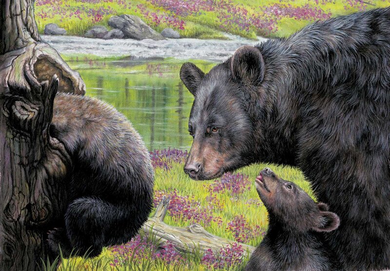 Black Bear Family — Green, Serene, Spring