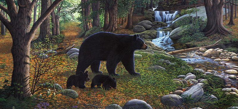 Black Bear Family — Green, Serene