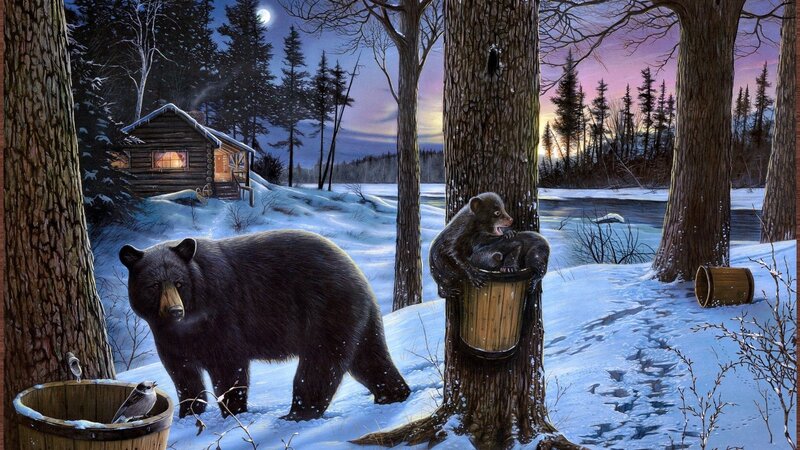 Black Bear Family in Snow — Blue