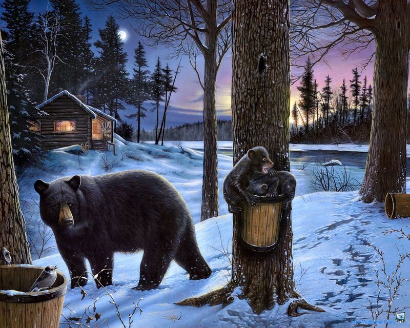 Black Bear Family in Snow