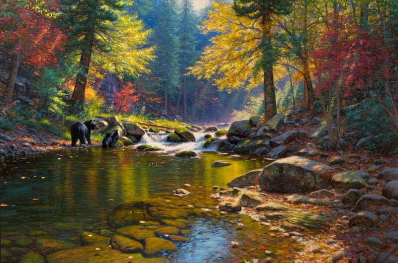 Black Bear Family in Stream