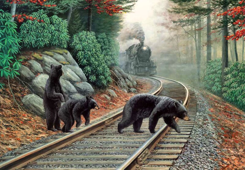 Black Bear Family on Tracks — Green