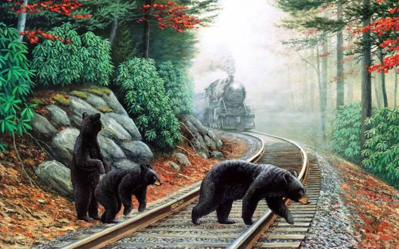 Black Bear Family on Tracks