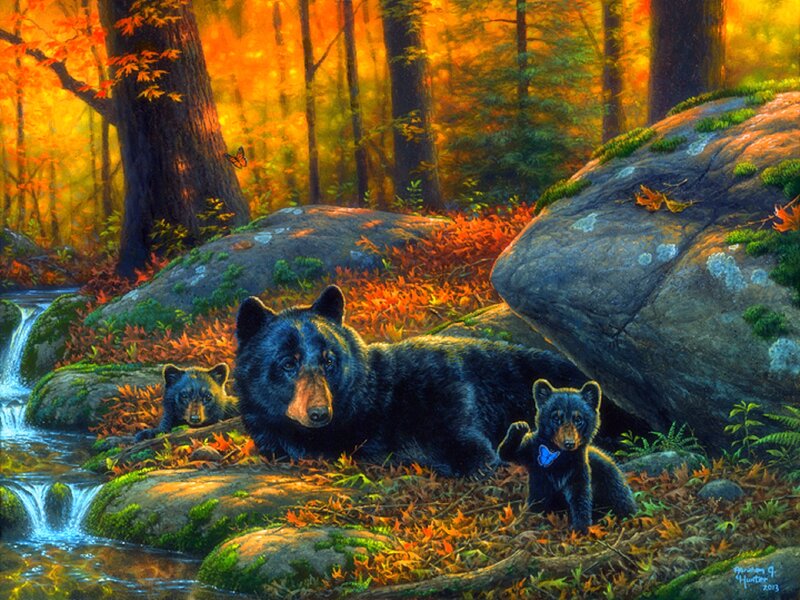 Black Bear Family — Orange, Serene