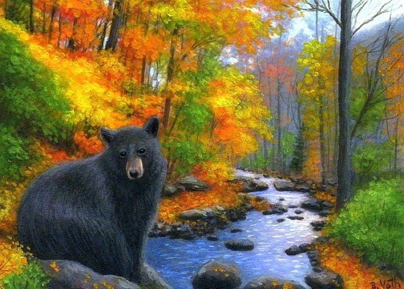 Black Bear in Forest — Orange
