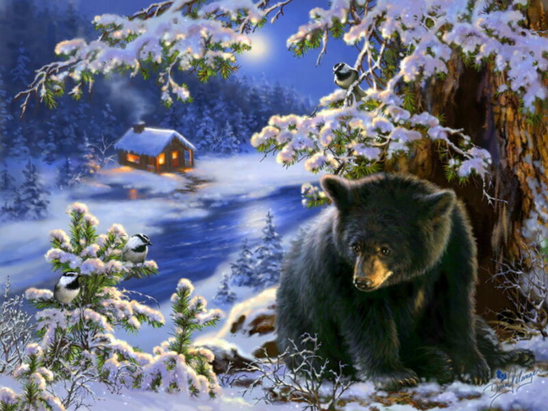 Black Bear in Snow — Blue