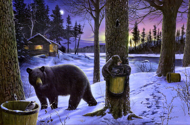 Black Bear in Snow