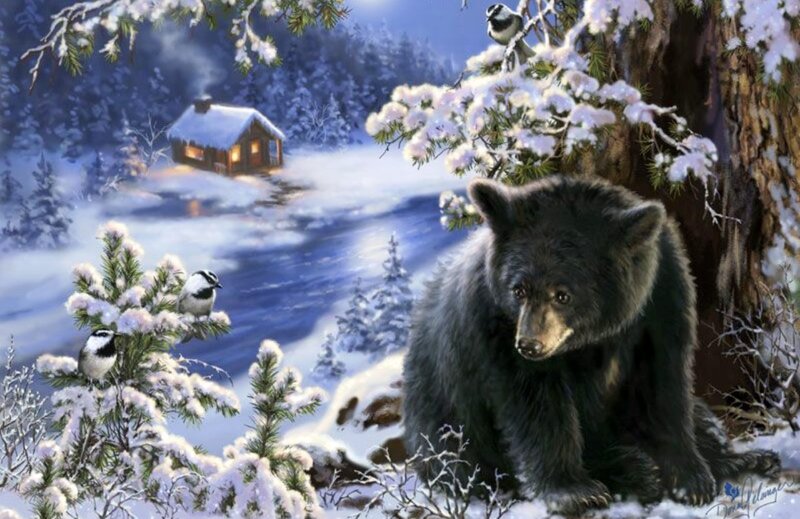 Black Bear in Snow — White