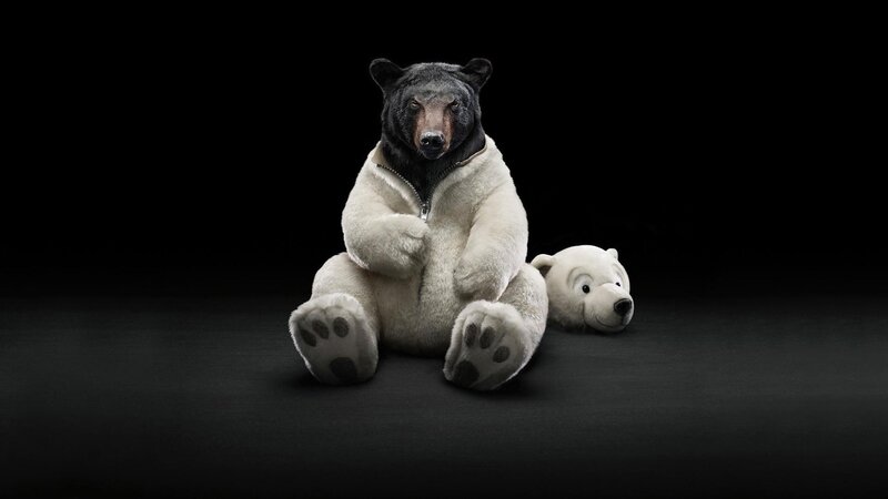 Black Bear in White Suit — Dramatic, Photograph, Stuffed Polar Bear