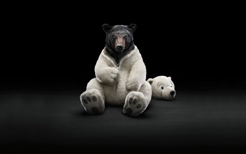 Black Bear in White Suit — Dramatic, Photograph