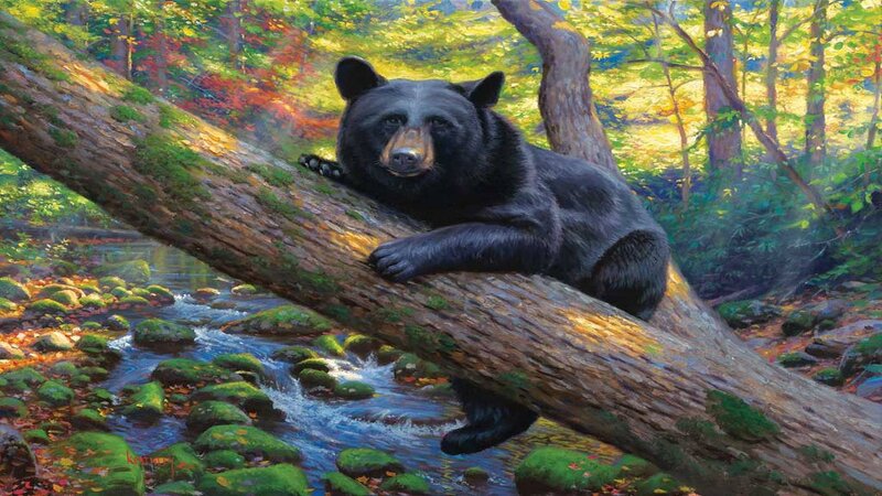 Black Bear on Log