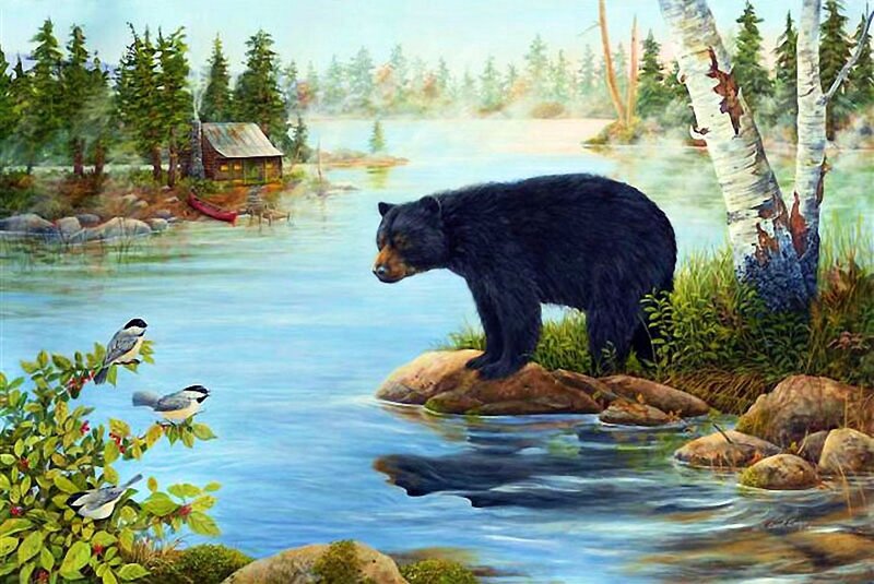Black Bear on Rock — Blue