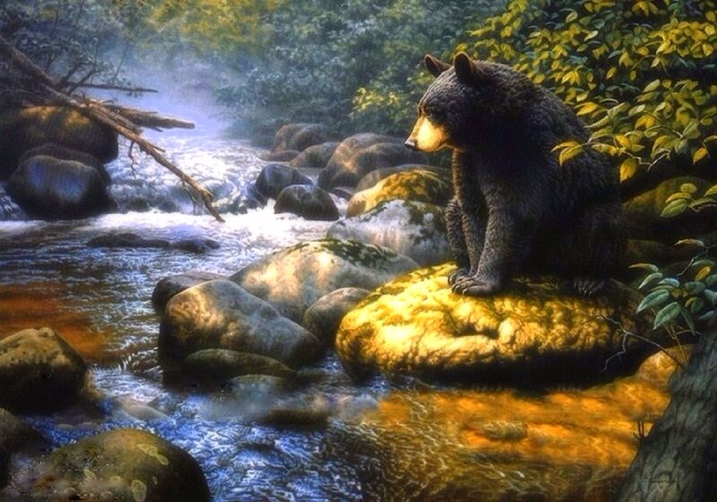 Black Bear on Rock — Green