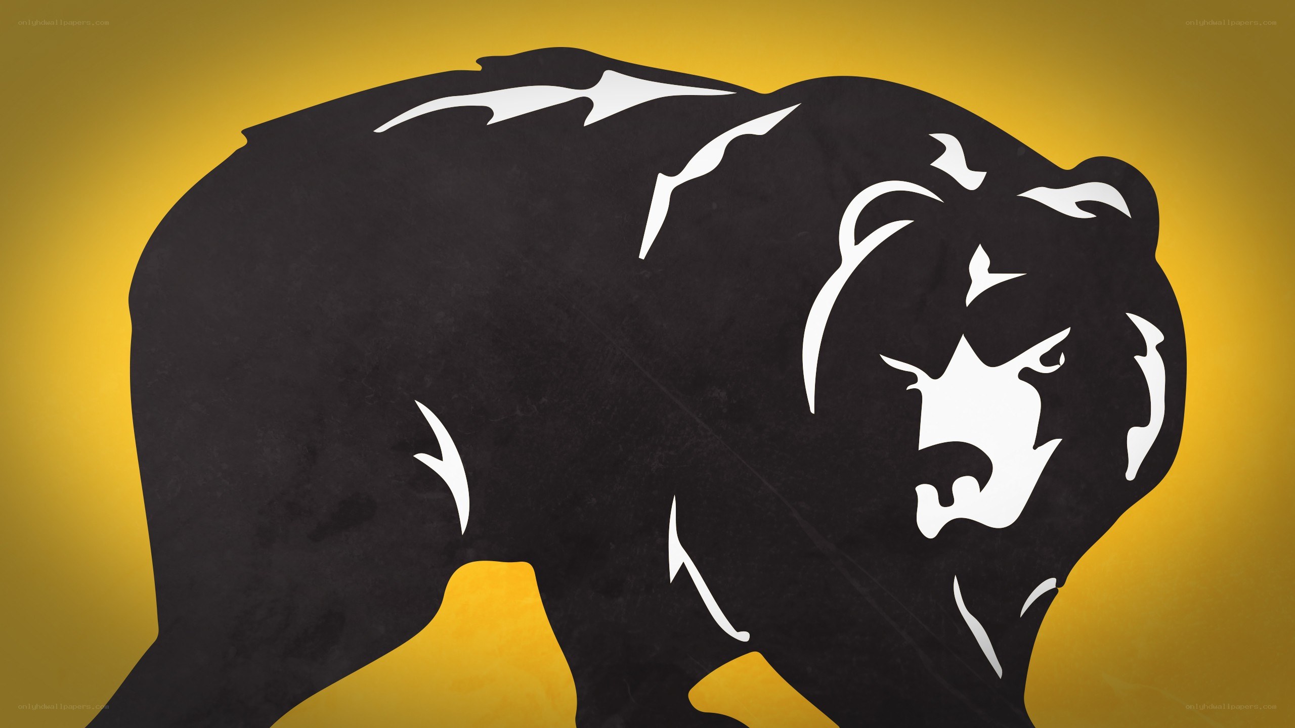 black bear silhouette on yellow