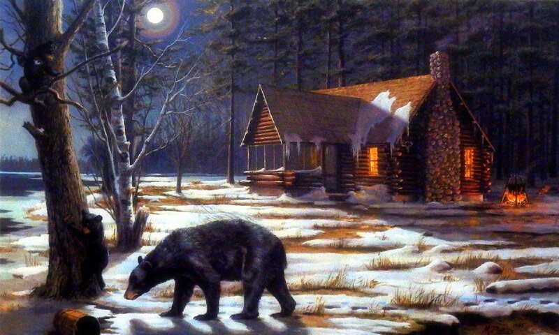 Black Bears in Snow — Brown
