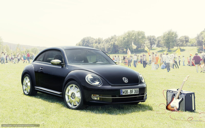 Black Beetle at a music festival