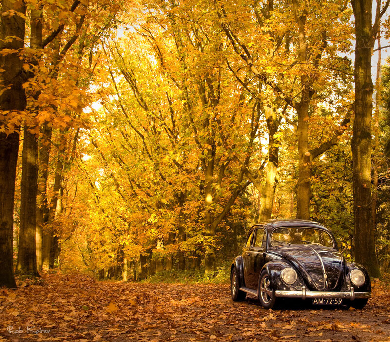 Black Beetle Car
