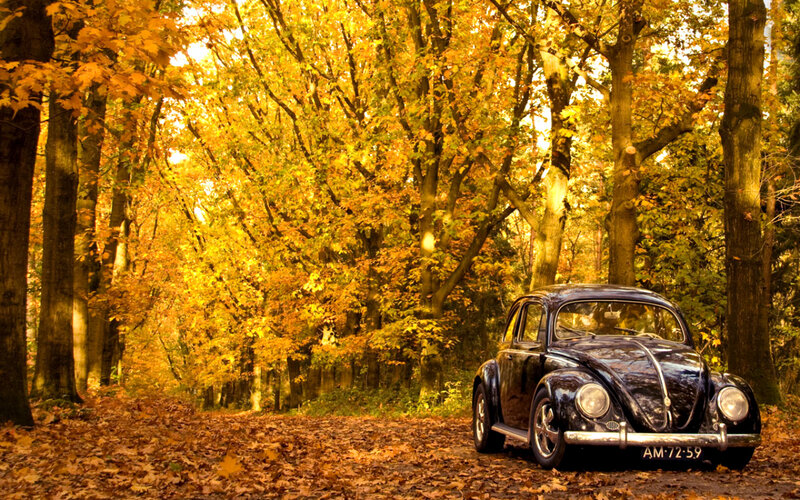 Black Beetle Car — Yellow