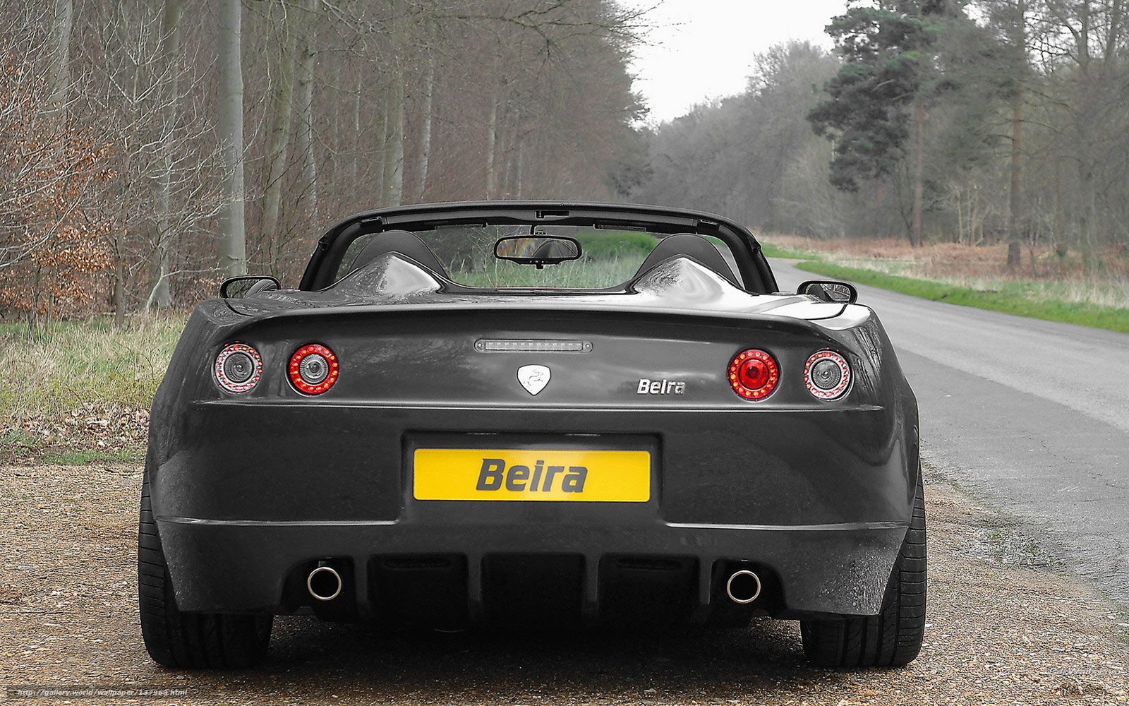 Black Belra sports car rear view