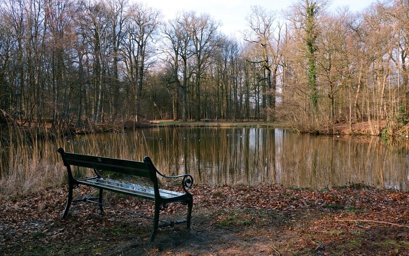 Black Bench by Pond