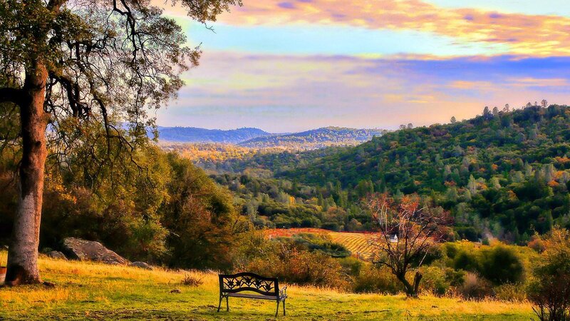 Black Bench in Field