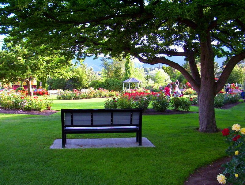 Black Bench in Park — Green