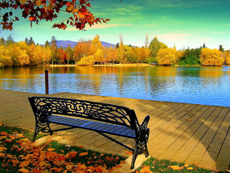 Black Bench on Dock