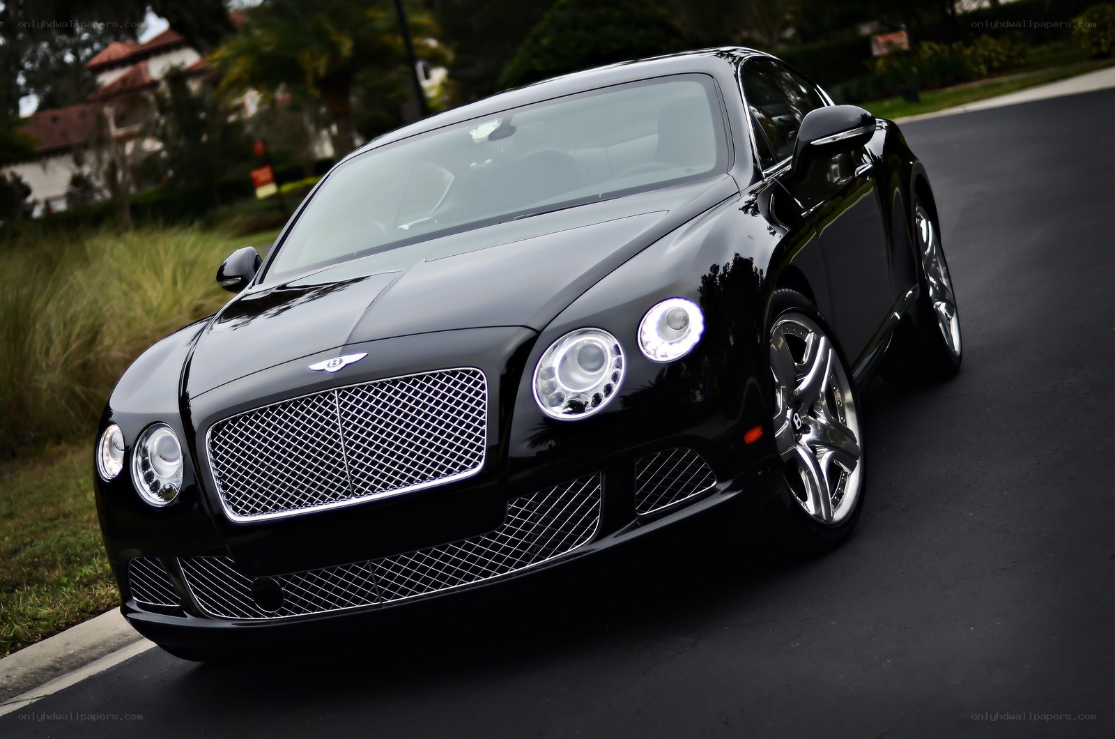 Black Bentley Continental GT