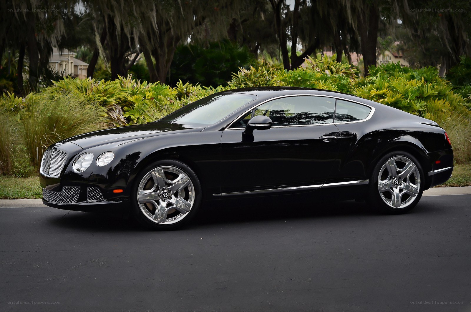 Black Bentley Continental GT