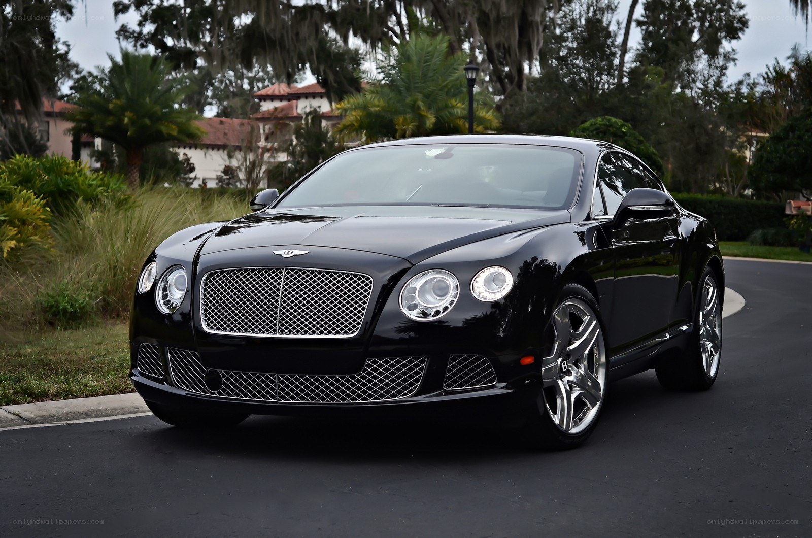 Black Bentley Continental GT