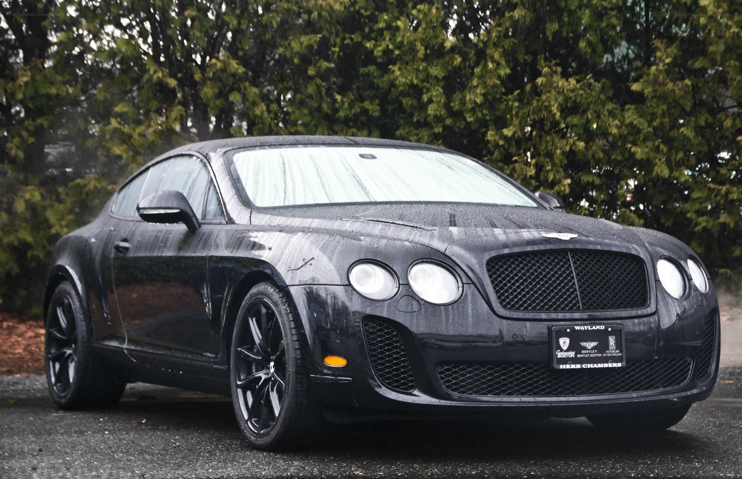 Black Bentley Continental GT