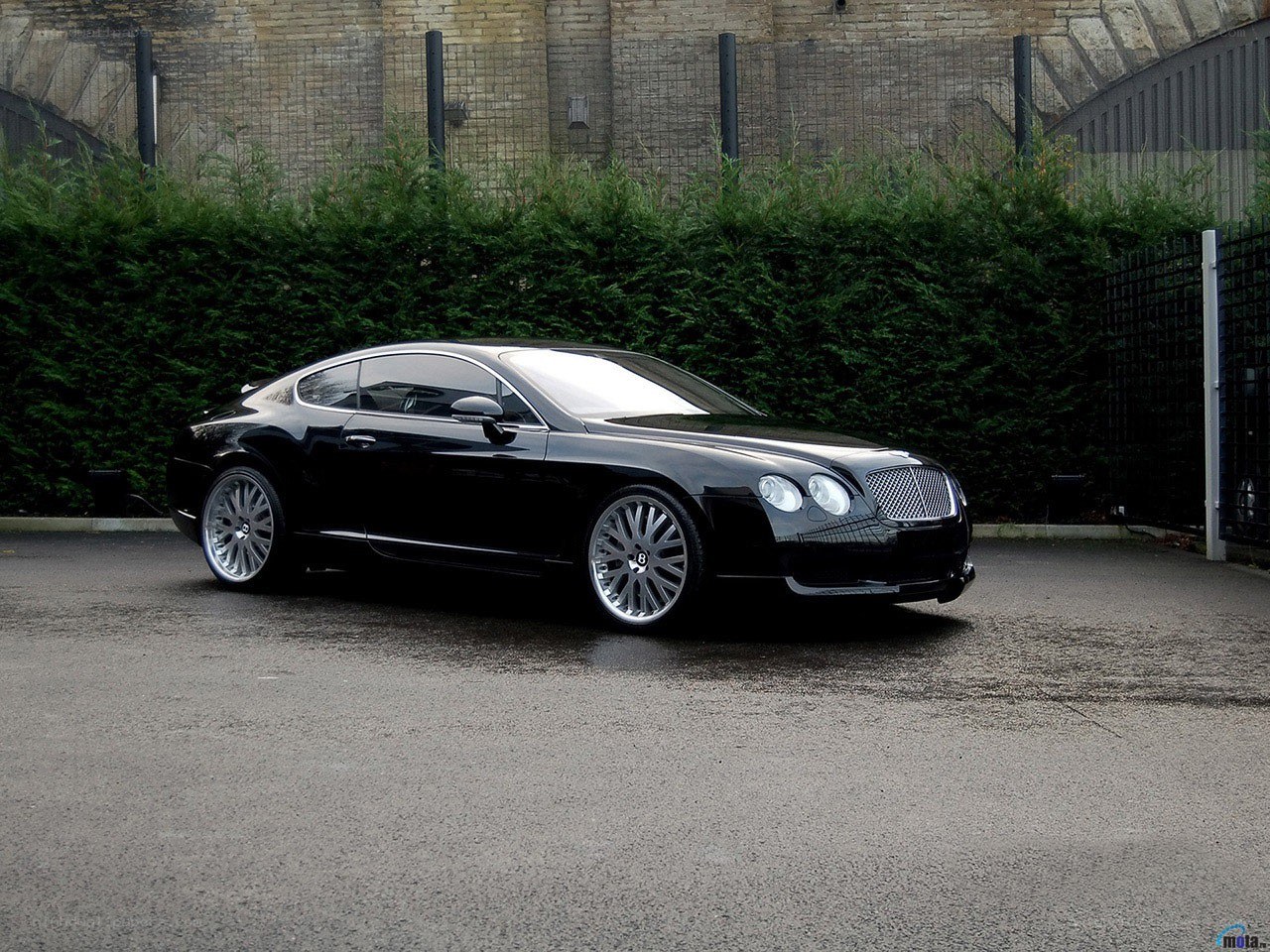 Black Bentley Continental GT