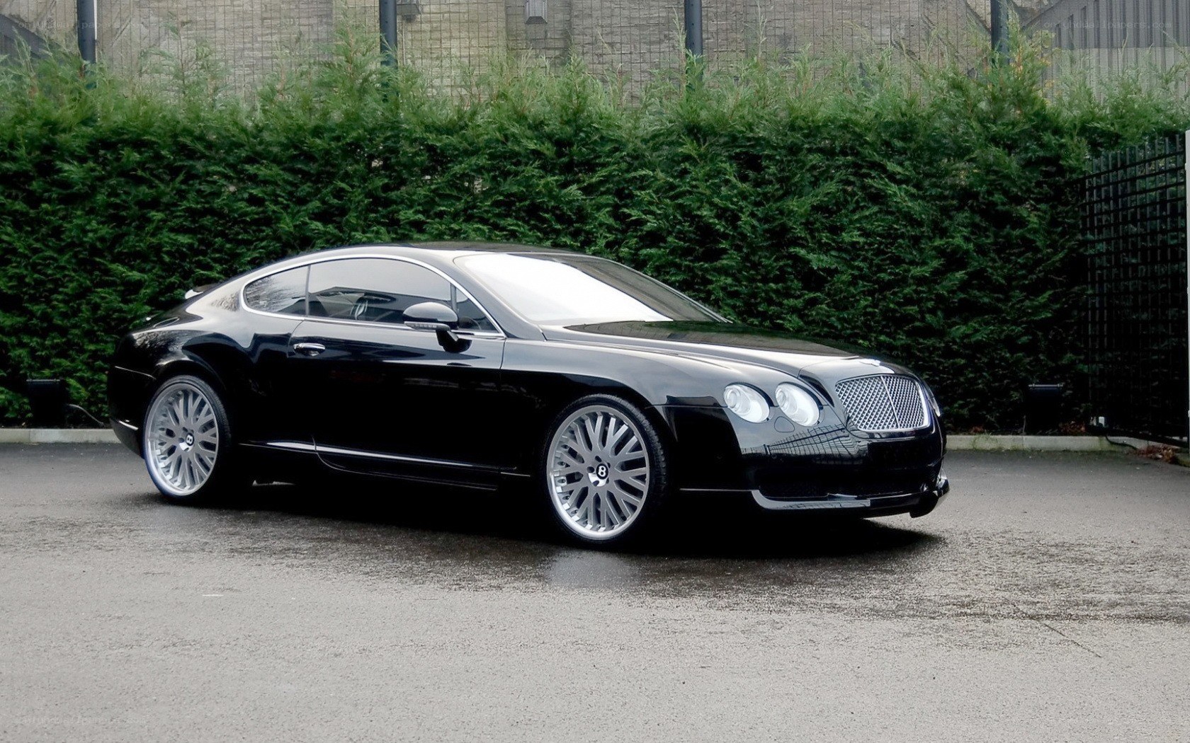 Black Bentley Continental GT