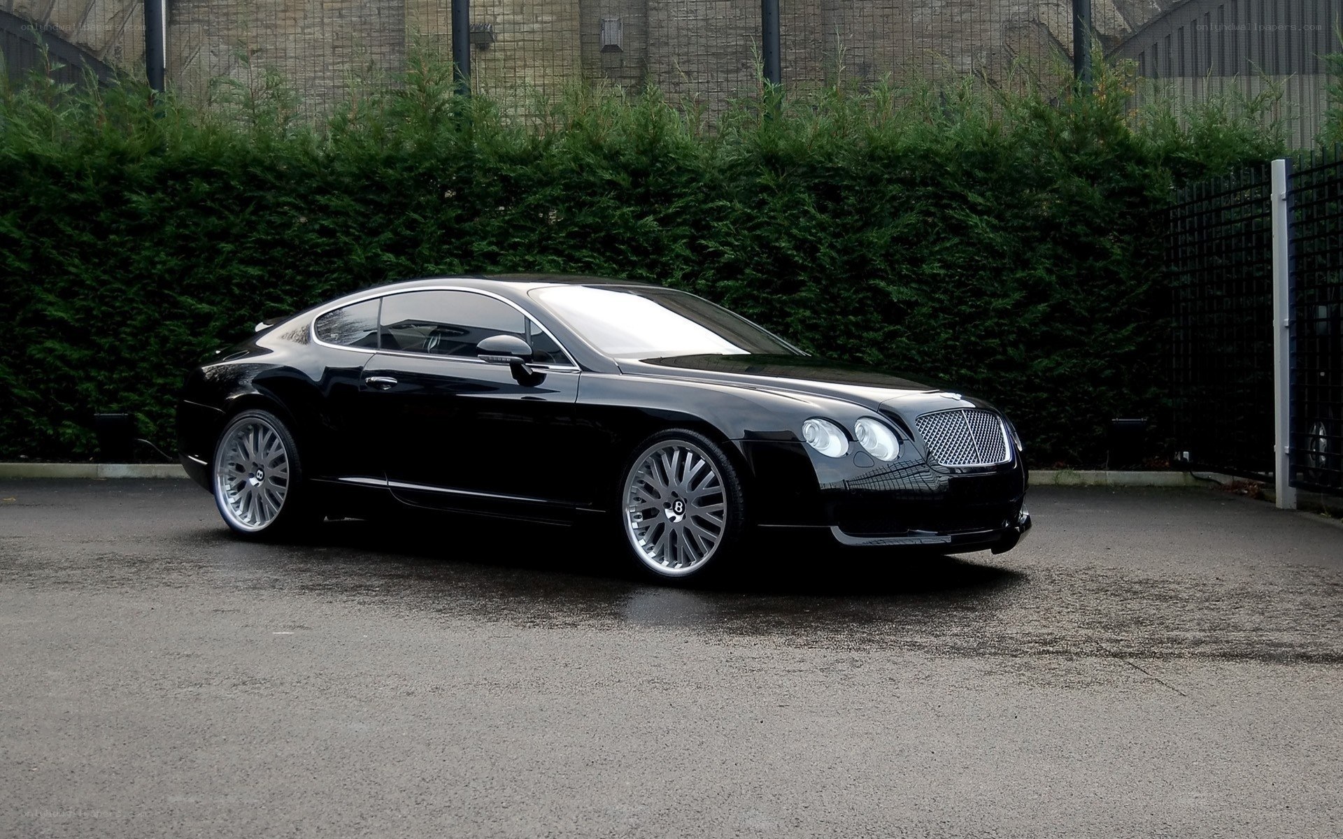 Black Bentley Continental GT