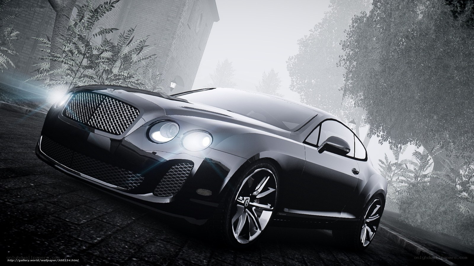 Black Bentley in foggy setting
