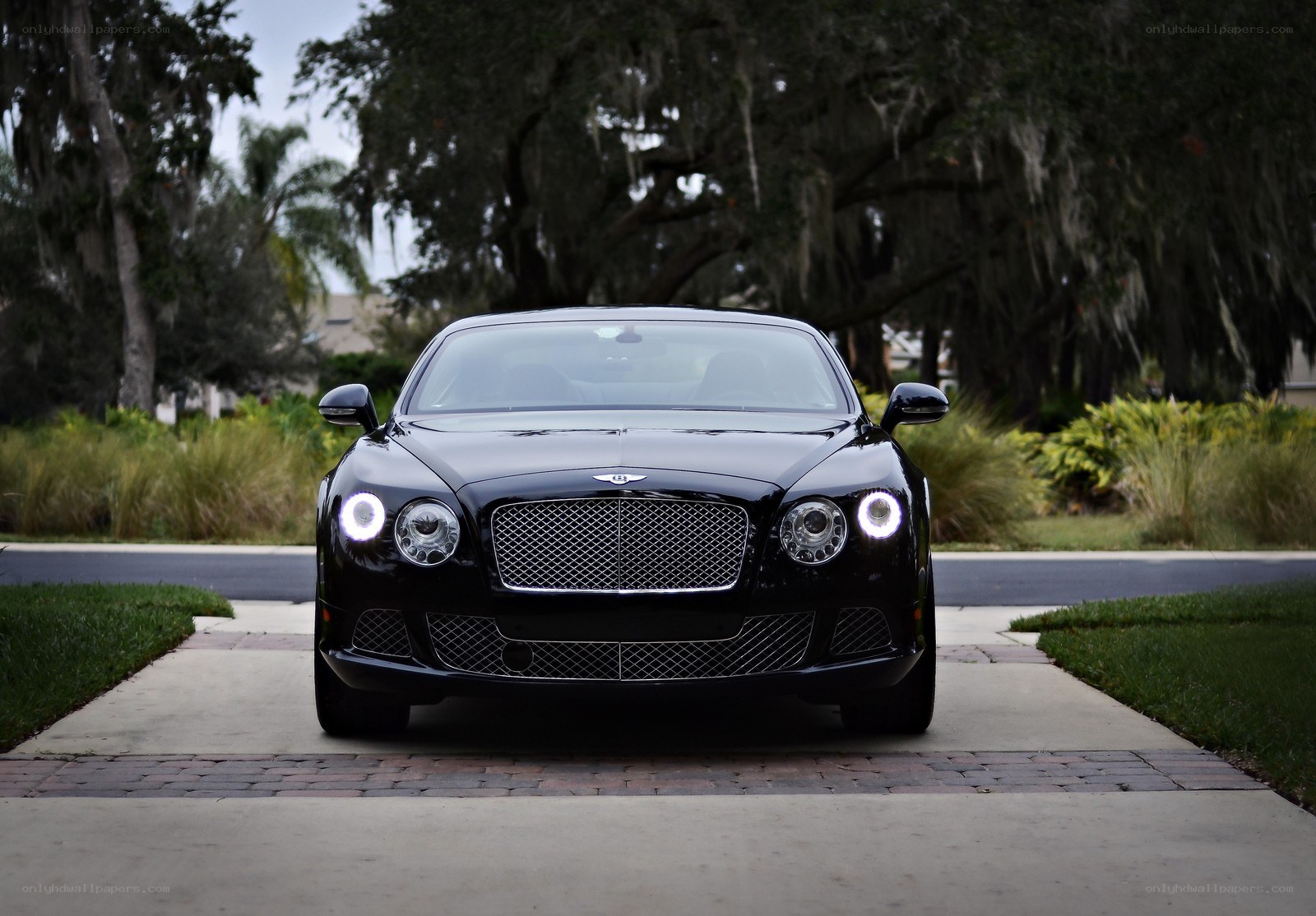 Black Bentley on a driveway