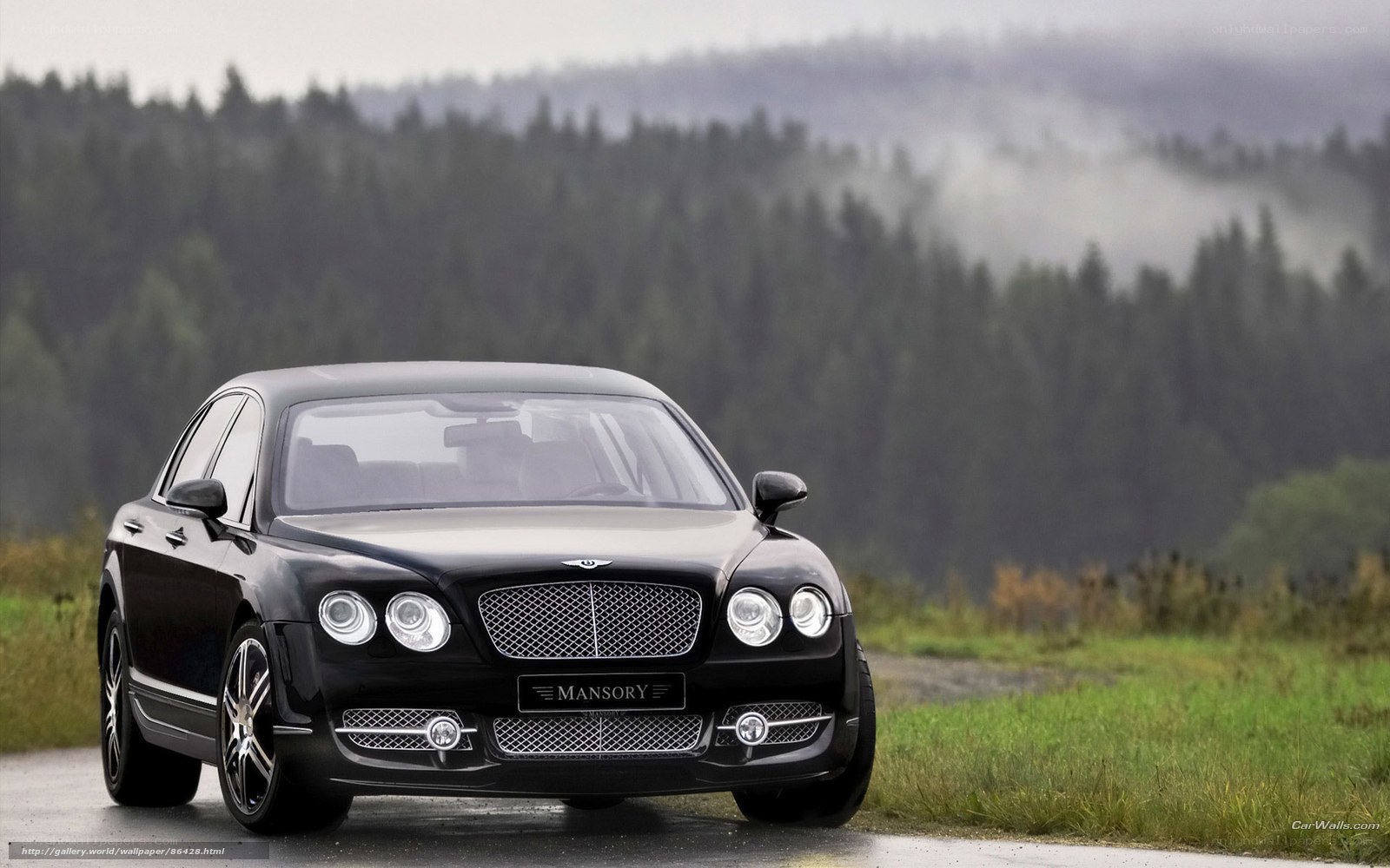 Black Bentley on a misty road
