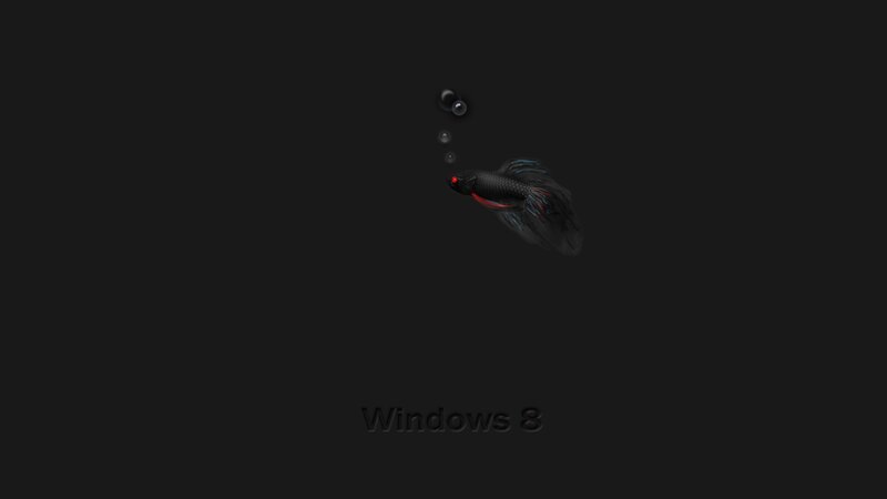 Black Betta Fish — Minimalist