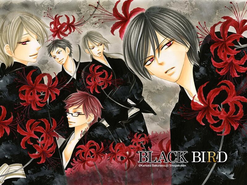 Black Bird anime characters