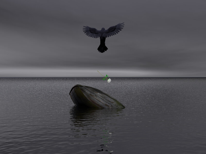 Black Bird Dropping Rose