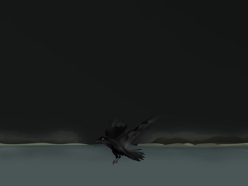 Black Bird Flying — Dramatic, Night