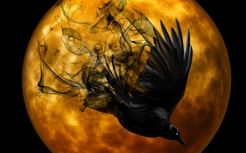 Black Bird Flying — Dramatic