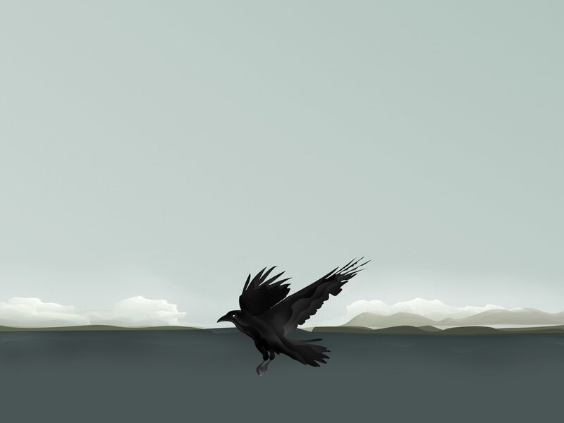 Black Bird in Flight — Gray, Calm