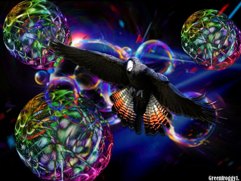 Black Bird in Flight — Purple
