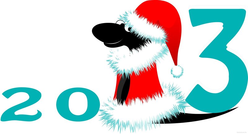 Black Bird in Santa Hat